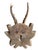 1900 - 1909 Roe Deer Trophy 120 Black Forest Antlers For Sale - Image 5 of 5