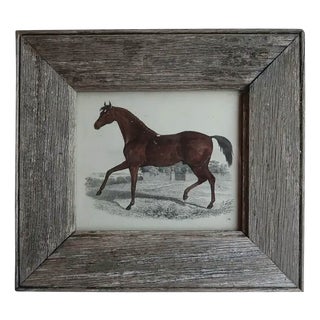 Racehorse, 1847, Lithograph For Sale