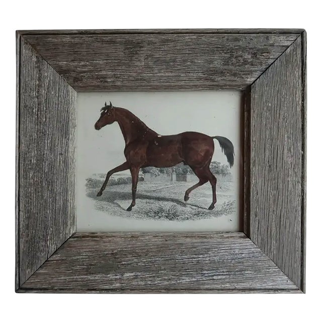 Racehorse, 1847, Lithograph For Sale