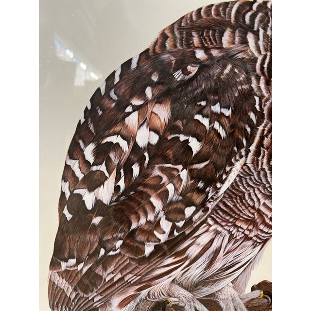 Paper Owl Portraits of the World, Barred Owl Print, E. Darrell Smith Artist Proof For Sale - Image 7 of 12