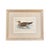 19th Century English Bird Engravings by Alexander Francis Lydon, Set 12 For Sale - Image 13 of 18