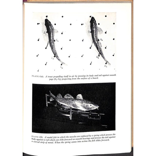 Traditional "How Animals Move: The Royal Institution Christmas Lectures 1951" 1953 Gray, James For Sale - Image 3 of 11