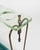 Mid-Century Umbrella Stand in Brass and Glass attributed to Fontana Arte, Italy, 1950s For Sale - Image 14 of 17