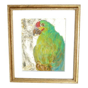 Parrot Chat - Contemporary Framed Pastel Drawing - Listed Artist Martha Holden