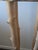 Custom Handcrafted Sandstone and Peeled Tree Limb Plant Stand For Sale - Image 4 of 5
