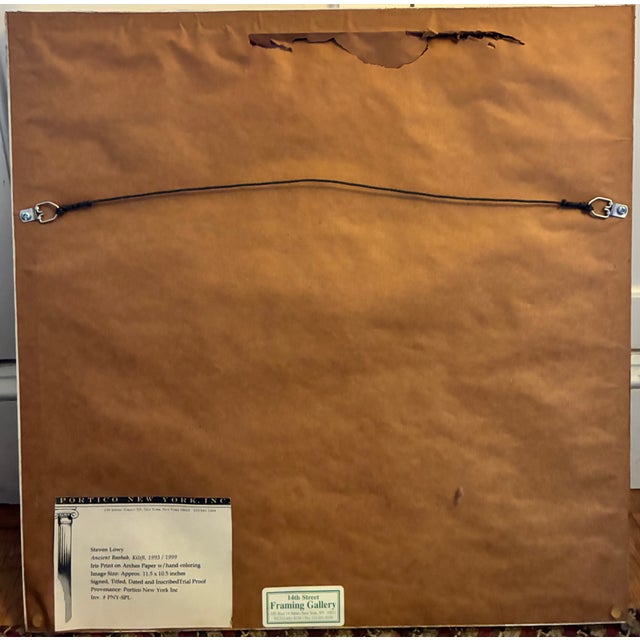 Contemporary Framed Trial Proof – Steven Lowy – “Ancient Baobab Kilifi” – Signed (1993/1999) For Sale - Image 3 of 4