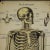A rare 19th century anatomical wall chart depicting the human skeleton. On the sides with detailed description in German...
