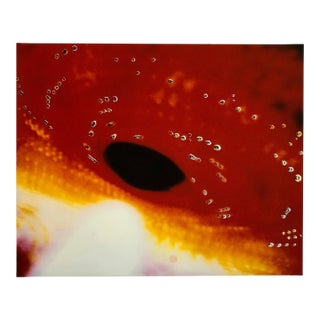 Victor Raphael, Space Field, Digital Iris Print Muse X Large Photograph on Heavy Paper For Sale