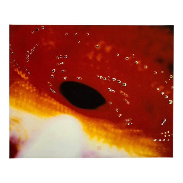 Victor Raphael, Space Field, Digital Iris Print Muse X Large Photograph on Heavy Paper For Sale