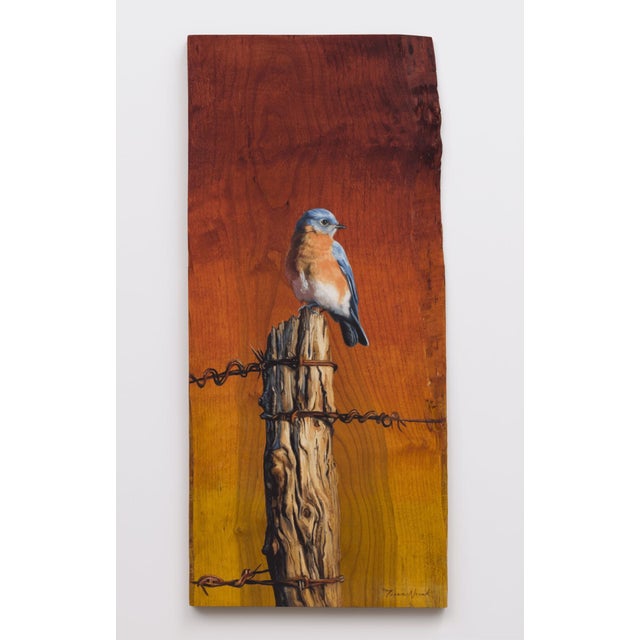 Evening Perch by Terra Novak | Oil on birch Bird sitting on a wooden post at sunset. For Sale