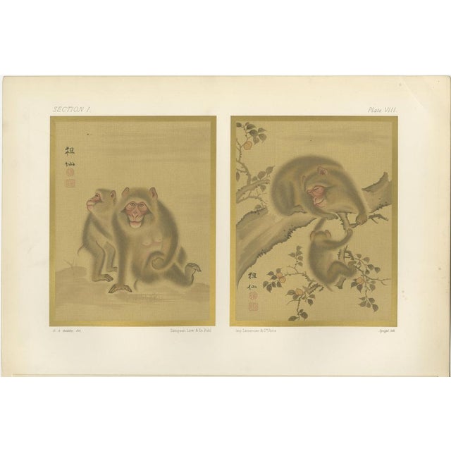 Cream Lemercier, Japanese Monkeys with Peaches, Prints, Set of 2 For Sale - Image 8 of 10