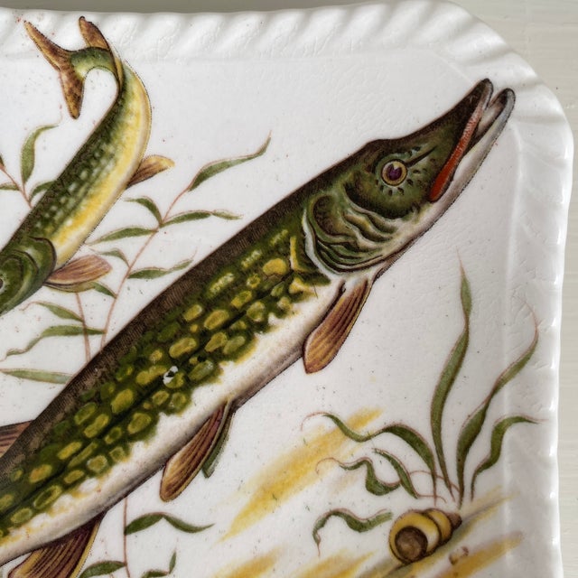 Illustration Vintage Petite Royal Adderly Fine Bone China Fish Service Plate or Trinket Dish For Sale - Image 3 of 9