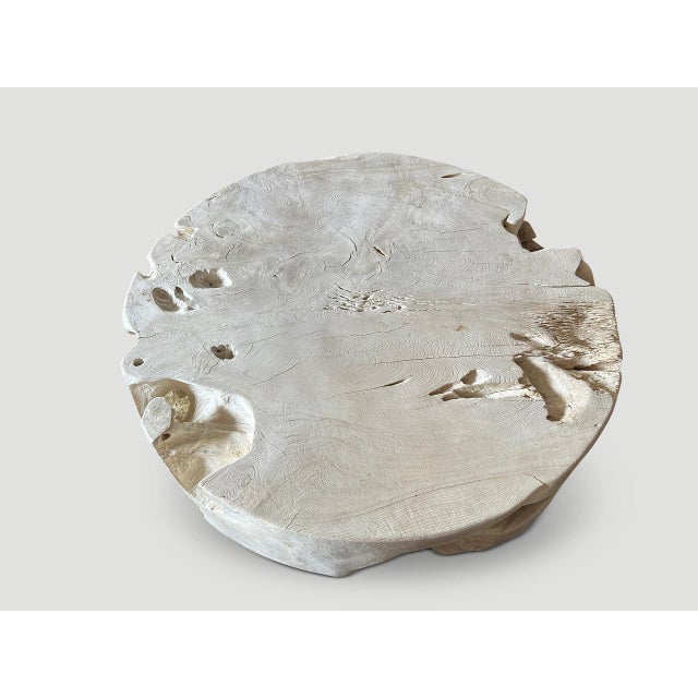 Off-white Andrianna Shamaris Organic Drum Shape Teak Wood Coffee Table For Sale - Image 8 of 18