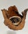 Rustic Early 21st Century Natural Root Pot for Ikebana or as Planter For Sale - Image 3 of 12