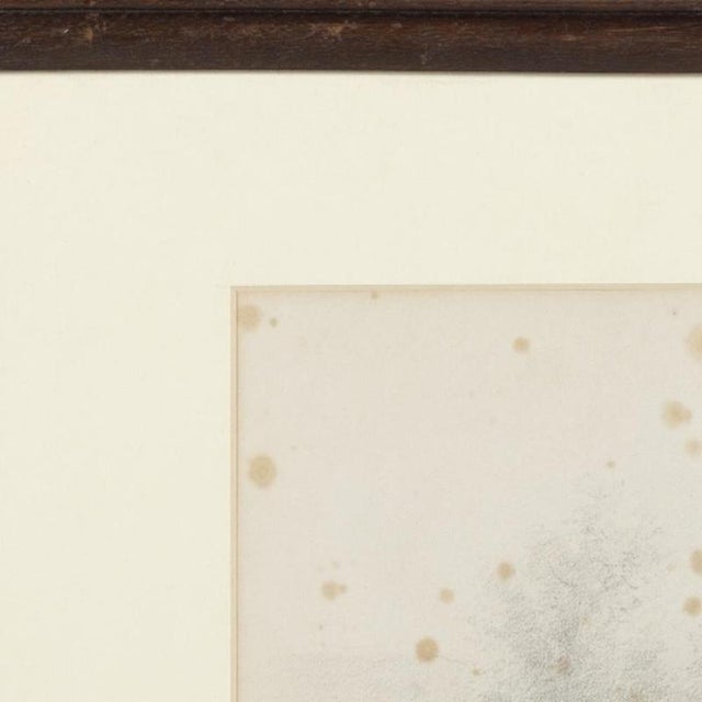 Drawing - Silva Porto - 19th century. "Rural landscape", pencil drawing on paper. Signed. Shows signs of fading....