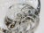 Transitional Steuben Crystal Nautilus Shell Sculpture – Signed Art Glass For Sale - Image 3 of 8