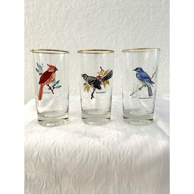 Lovely mid-century set of five clear glass high ball/tumblers each featuring a different bird with identifying bird's name...