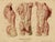 Johann Anderla, Anatomical Study of Muscles of the Torso & Pelvis, 1888, Watercolor For Sale