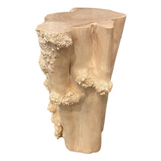 Andrianna Shamaris Rare Bleached Teak Root Pedestal For Sale