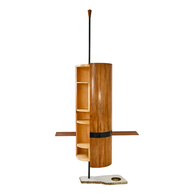 Italian Wall Unit by Vittoriano Viganò, 1960s For Sale