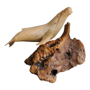 Late 20th Century Hand Carved Whale on Burl Wood