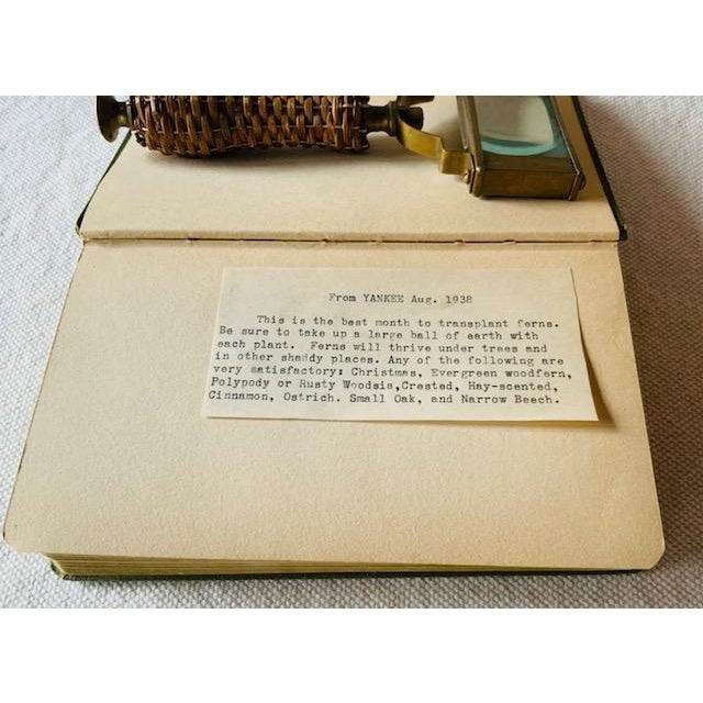 Paper Antique Field Book of Common Ferns - 1928 First Edition For Sale - Image 7 of 14