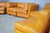 Modular Frau Sofa in Leather, 1970, Set of 5 For Sale - Image 12 of 18