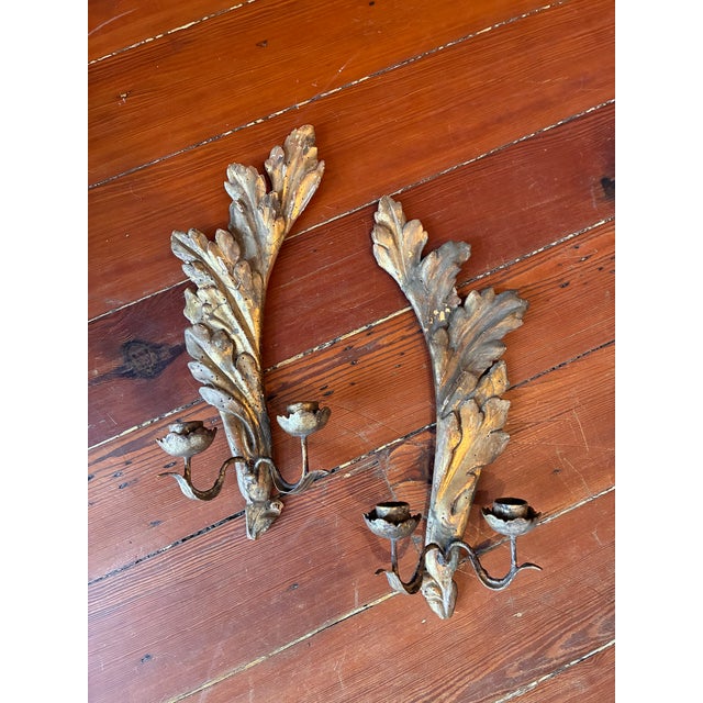 Pair of 18th Century Leaf-Form Giltwood Sconces For Sale In New Orleans - Image 6 of 6