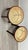 The thonet stool 214: a timeless bentwood classic this classic stool embodies the timeless simplicity of the bentwood...