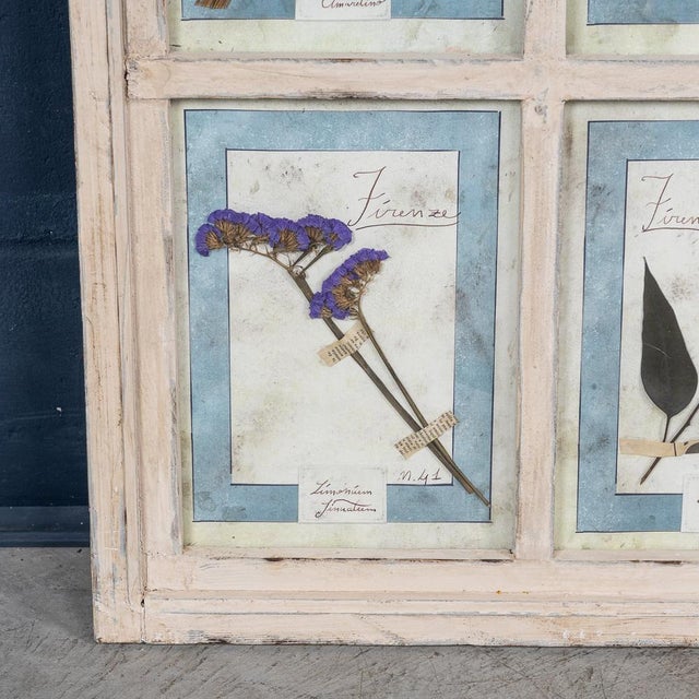 Large Italian Oak Frame Containing Pressed Flowers and Herbs, 1980s For Sale - Image 10 of 18