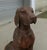 1960s Cast Iron Statue of Hunting Dog Retrieving a Pheasant, 1960s For Sale - Image 5 of 9