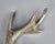 Vintage Silver Metal Deer Antler Bottle Opener This pretty bottle opener is made from metal. Great condition. Approximate...