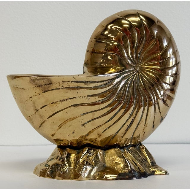 Metal Vintage Brass Nautilus Shell Planter Cachepot For Sale - Image 7 of 11