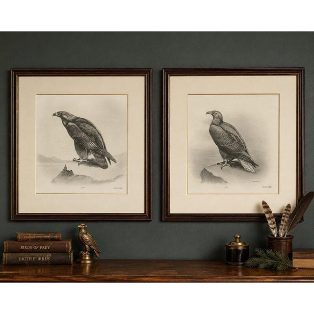 Title: pair of majestic british eagle photogravures by l. M. Medland, 1908 : a striking pair of original antique bird-of-...