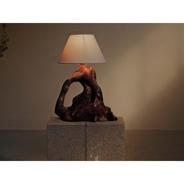 Sculptural Olive Wood Table Lamp, 1960 For Sale - Image 6 of 12
