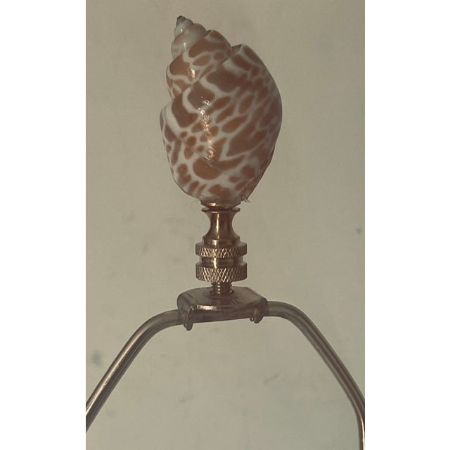 Coastal 1970s Coastal Turbo Sea Shells Lamp Finials Pair For Sale - Image 3 of 4