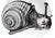 2000 - 2009 Fornasetti Tema E Variazioni Porcelain Wall Plate No. 260, the Snail For Sale - Image 5 of 8