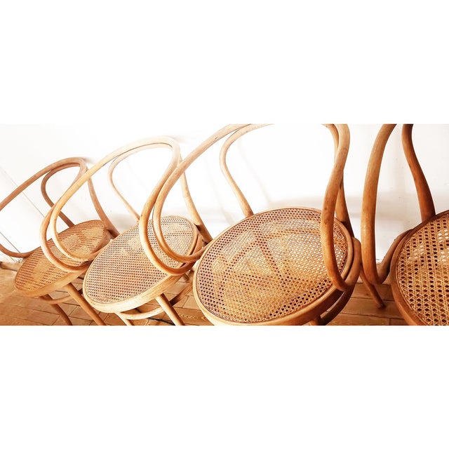 Set of Thonet Model 209 Armchairs by Michael Thonet, 1950s For Sale - Image 8 of 11