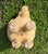 Vintage Large Ceramic Elephant Planter For Sale - Image 10 of 12