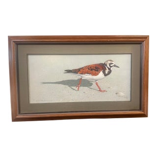 Acrylic on Board by Rod Lawrence “Beachcomber” Shore Bird Amazing For Sale