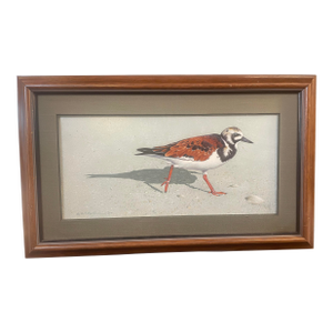 Acrylic on Board by Rod Lawrence “Beachcomber” Shore Bird Amazing