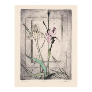 David Baird Iris Color Etching