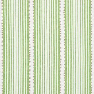 Schumacher X David Oliver Moncorvo Fabric in Leaf For Sale