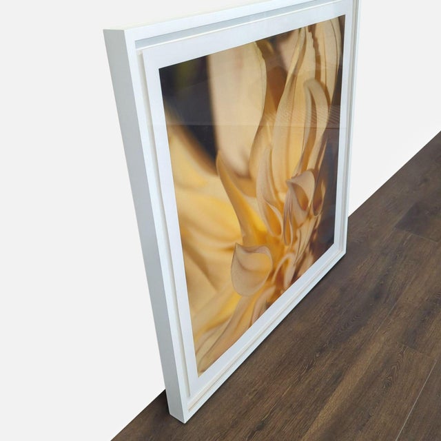 Framed photograph of a closeup featuring petals of a dahlia flower from the photographers Botanicals Series. Brand:...