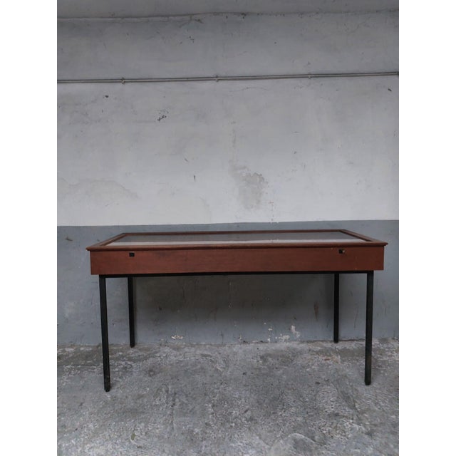 Mid-Century Display Case, 1960 For Sale - Image 10 of 18