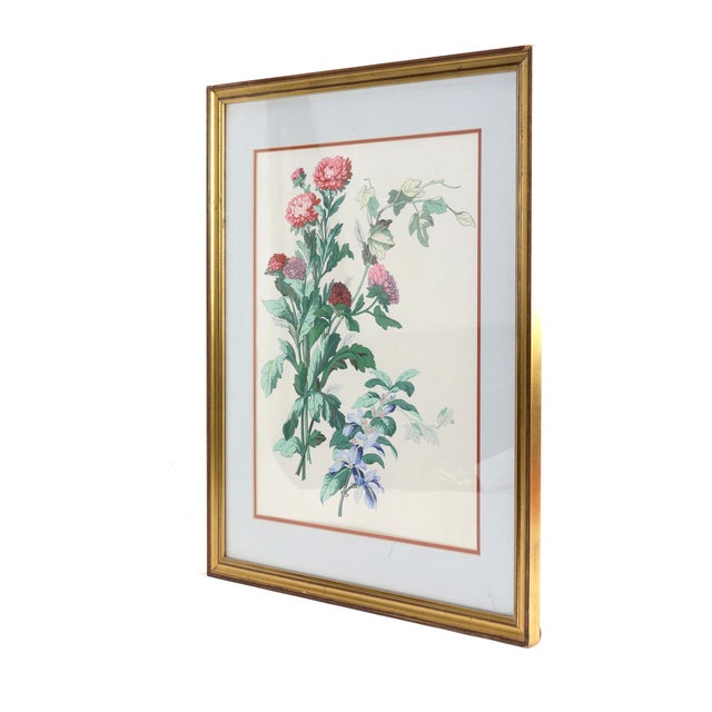 Art Deco Hand-Painted Watercolor Flower Specimen Painting, For Sale - Image 3 of 7