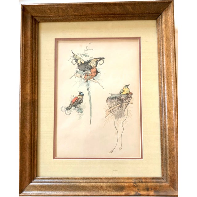 Stone Gray 19th C. French Drawings of Birds, Pair For Sale - Image 8 of 11