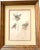 Stone Gray 19th C. French Drawings of Birds, Pair For Sale - Image 8 of 11