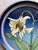 1980s Hand-Painted Studio Pottery Plate Avalanche Lily Signed SBCD 1981 For Sale - Image 5 of 5