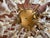 Vintage Italian Murano Style Sputnik Chandelier in the Manner of Paolo Venini "Espirit", 28 Glass Florets For Sale - Image 9 of 18